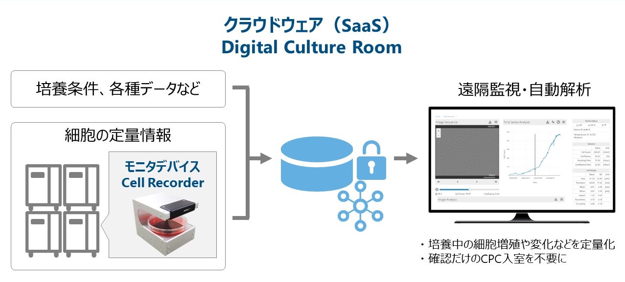 Digital Culture Room