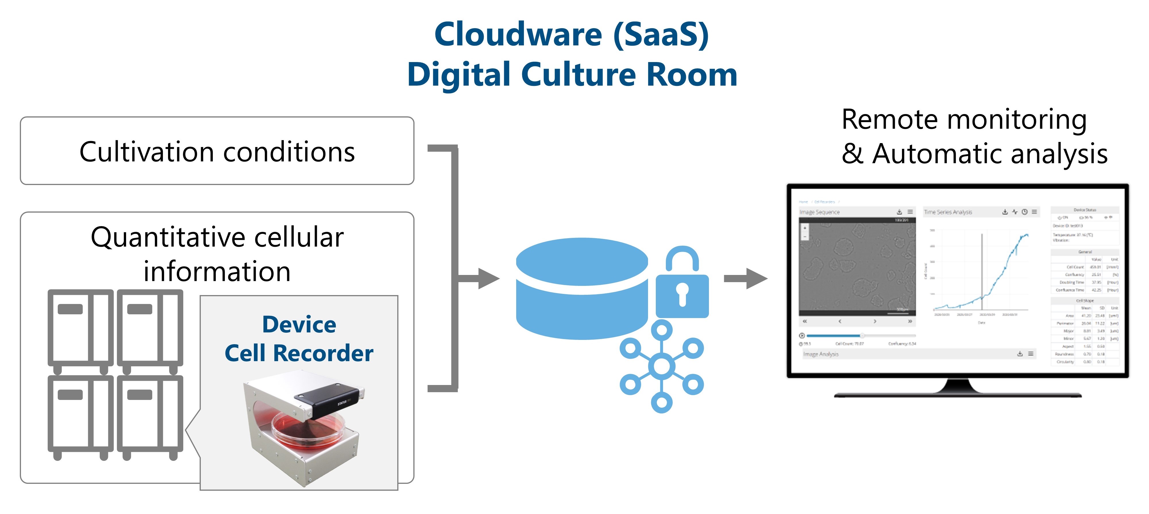 Digital Culture Room