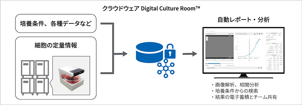 Digital Culture Room